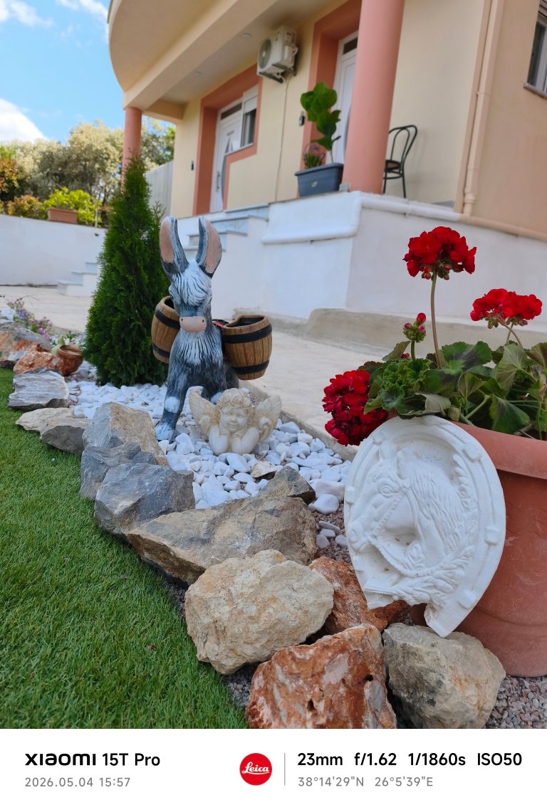 Gallery photo 6