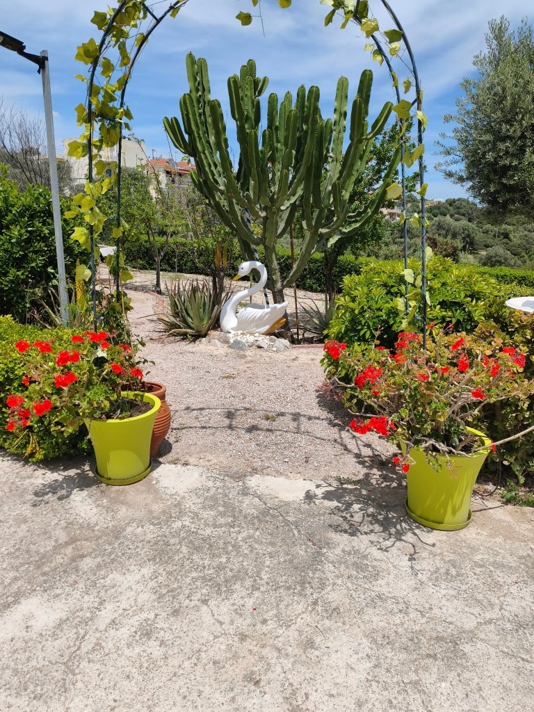Gallery photo 13