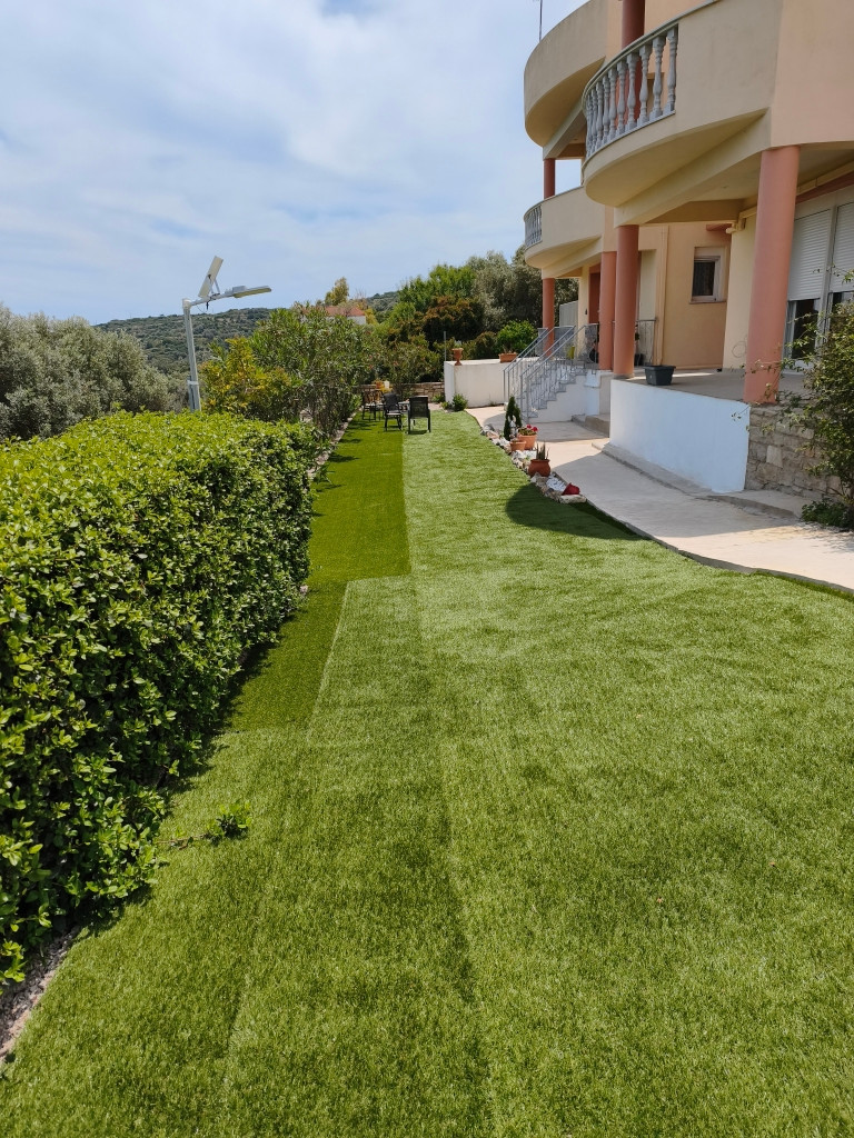 Mastiha grove